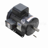 131855 Leeson Motor