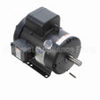 131855 Leeson Motor