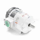 132196 Leeson Motor