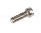 13942 Insinkerator Screw