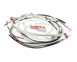 140266 Henny Penny Kit-Hhc900 100V Module Wiring