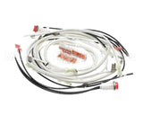 140266 Henny Penny Kit-Hhc900 100V Module Wiring