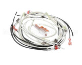 140266 Henny Penny Kit-Hhc900 100V Module Wiring