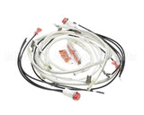 140266 Henny Penny Kit-Hhc900 100V Module Wiring