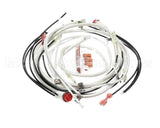 140266 Henny Penny Kit-Hhc900 100V Module Wiring