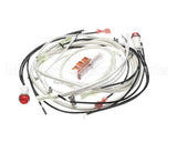 140266 Henny Penny Kit-Hhc900 100V Module Wiring