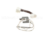 140466 Henny Penny Kit-Cfe4Xx P1 Fem Probe/Gauge