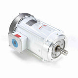 141269 Leeson Motor