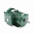 141311 Leeson Crop Dryer Motor