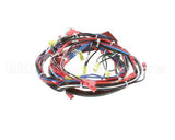 141836 Groen Harness, Control Hy-5G