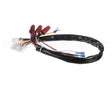 142-000019-001 Ultrafryer Wire Harness
