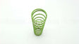 143-62-021-17 Sensus-Gas Division Green Spring For 143'S