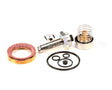 14388 Gaylord Solenoid Valve Repair Kit 822