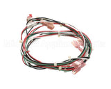 144109 Groen Harness, Door Switch, Smart Steam