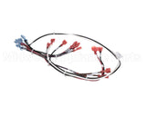144973 Groen Wire Harness-Electric Tilt, High Voltage