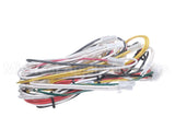 14560P052 Winston Main Wiring Harness