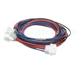 14560S020 Winston Secondary Harness