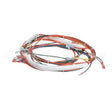 146191 Compatible Groen Wireharness, Control Low Voltage, Gas