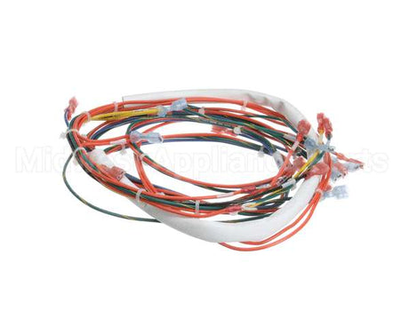 146191 Groen Wire Harness,Control Low Voltage, Gas