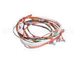146191 Groen Wire Harness,Control Low Voltage, Gas