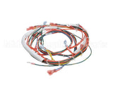146191 Groen Wire Harness,Control Low Voltage, Gas