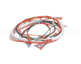 146191 Groen Wire Harness,Control Low Voltage, Gas