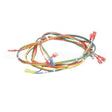 146197 Compatible Groen Wire Harness-Electric Ti Lt, Low Voltage Bpp-40G