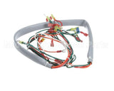 148503 Groen Wiring Harness, Controls Ee-20, 40