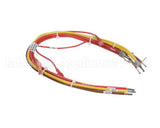 148504 Groen Wiring Harness, High Voltage Ee-20, 40