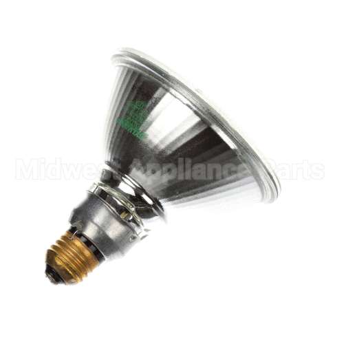 149 Hickory Lamp Par 115V,H90Par38/Fl