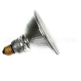 149 Hickory Lamp Par 115V,H90Par38/Fl