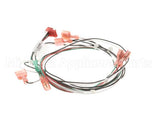 149601 Groen Harness, Door Switch, Ssb-3/5E&G