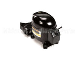 150556 Norlake Compressor 115V