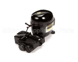 150556 Norlake Compressor 115V