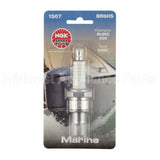 1507 NGK Br6Hs Blyb Spark Plug