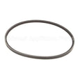 152293 Compatible Stoelting Belt V 39.2 Ol Gripnotch