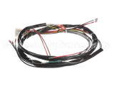 153350 Duke Harness,Motor Control Elec