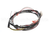 153350 Duke Harness,Motor Control Elec