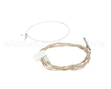 154252 Henny Penny Assembly-2 In Rtd Probe