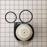 154844301 Frigidaire Motor & Pump Assy