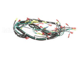 155506 Groen St-4G & St-6G W/ Float 24Vac Harness