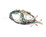 155506 Groen St-4G & St-6G W/ Float 24Vac Harness