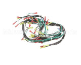 155506 Groen St-4G & St-6G W/ Float 24Vac Harness