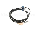 155750SED Duke Rtd Assembly, 1000 Ohm