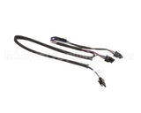 156187 Duke Harness,Timer Bar 2-Wide