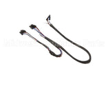 156187 Duke Harness,Timer Bar 2-Wide