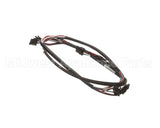 156188 Duke Harness,Timer Bar 4-Wide