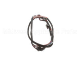 156188 Duke Harness,Timer Bar 4-Wide
