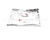 156483 Duke Element,Heat 60V, 200W (2 X 2 - 120V)