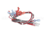 157935 Duke Harness,Wire Main Fwm